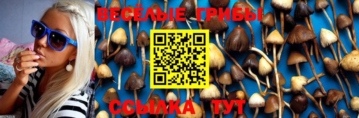 Галлюциногенные грибы Psilocybe  Вход с VPN  Тула 